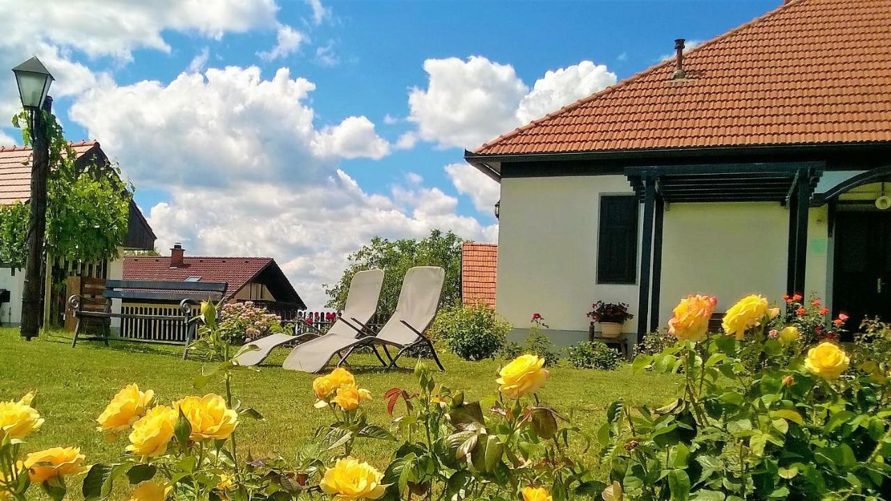 Pocitniska Hisa Kog Villa Dış mekan fotoğraf